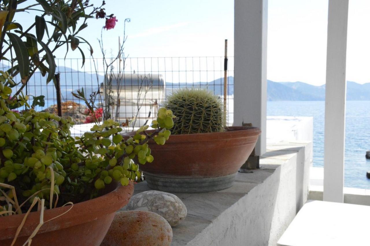 Thalassophile Eco House Villa Plaka  Bagian luar foto