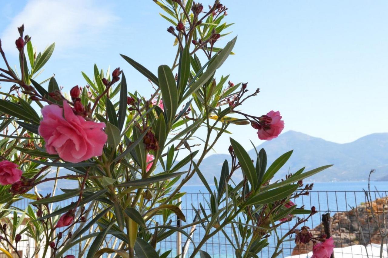 Thalassophile Eco House Villa Plaka  Bagian luar foto